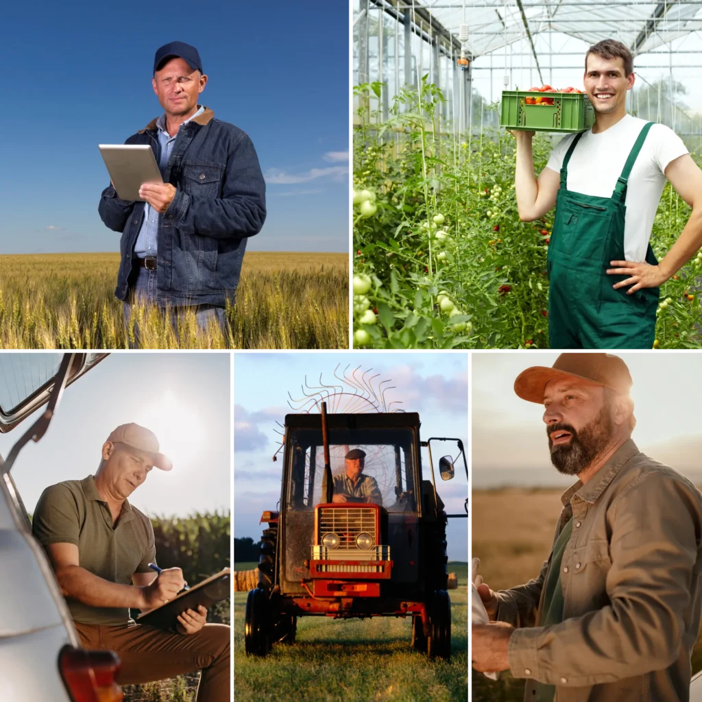 Weather Dashboard Interface