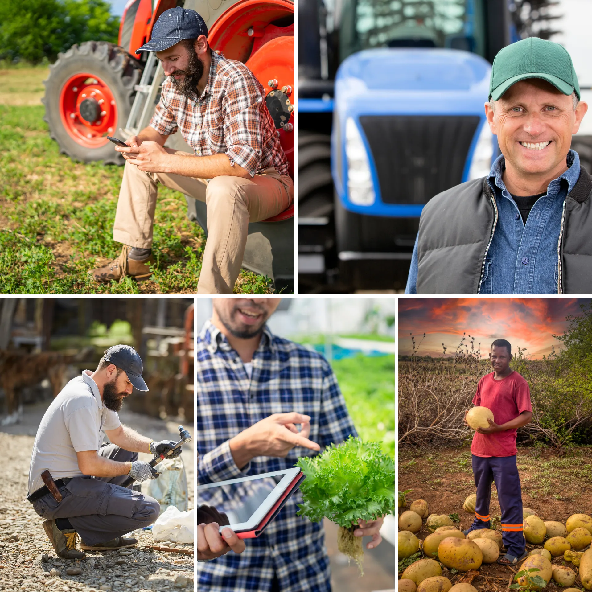 Expenses and Income Dashboard