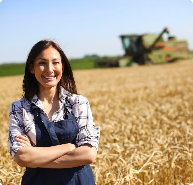 Weather Dashboard Interface