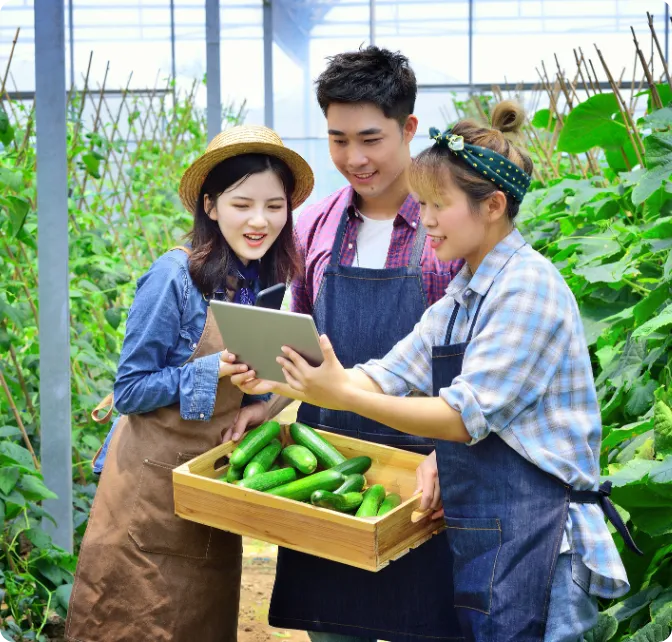 Advanced Weather Analytics Interface