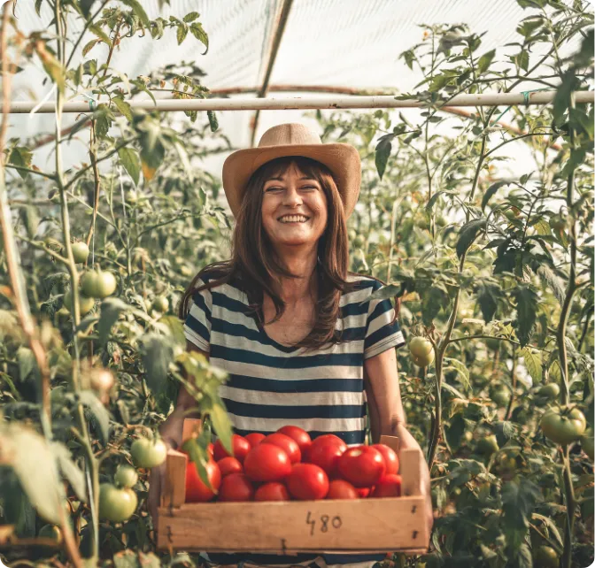 Harvest Monster Dashboard Interface