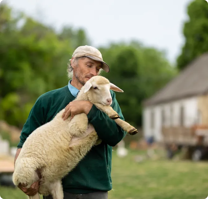 Precision Farming Analytics