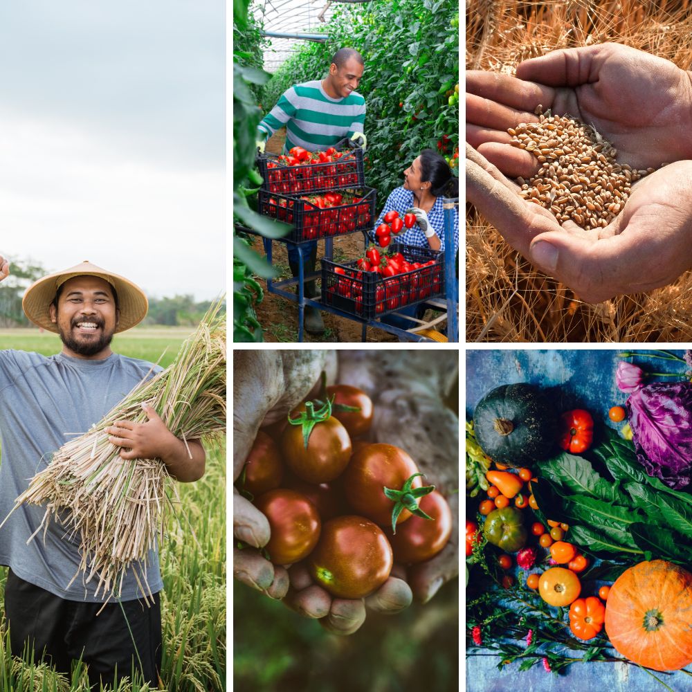 Modern farming technology