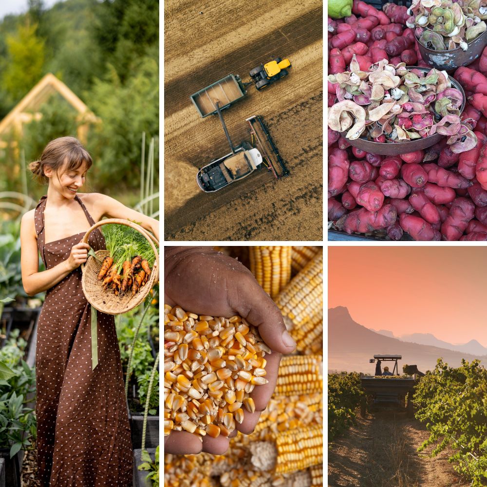 Agricultural innovation