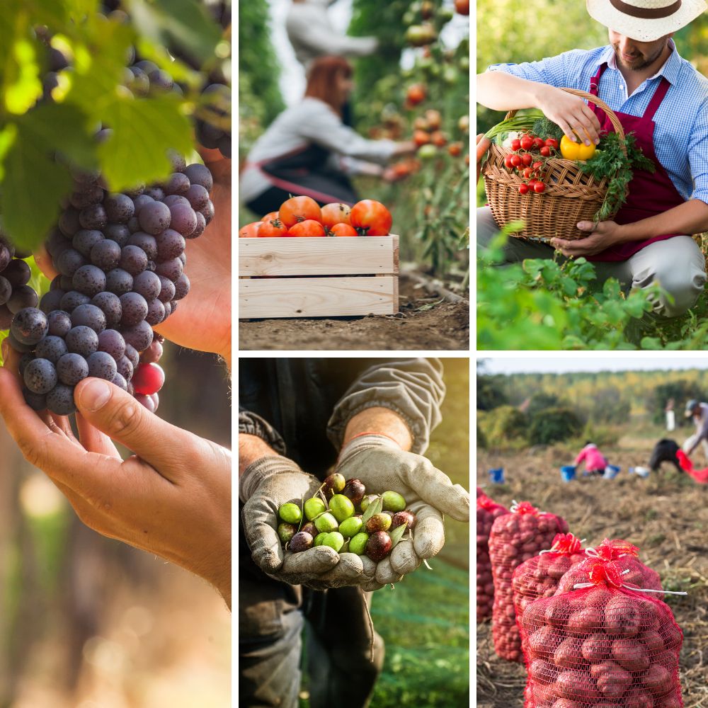 Efficient farming solutions